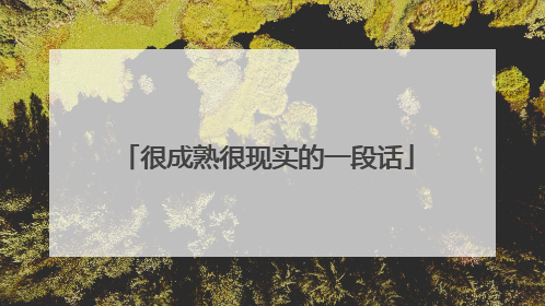 很成熟很现实的一段话
