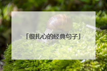 很扎心的经典句子