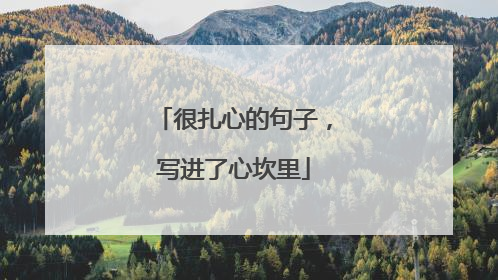 很扎心的句子，写进了心坎里