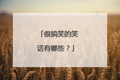 很搞笑的笑话有哪些?