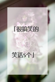 很搞笑的笑话5个