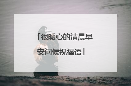 很暖心的清晨早安问候祝福语