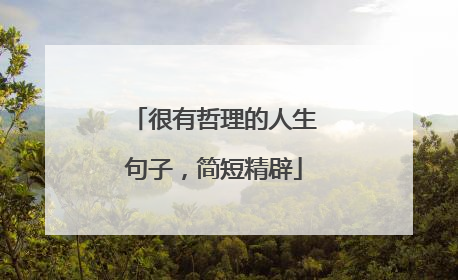 很有哲理的人生句子，简短精辟