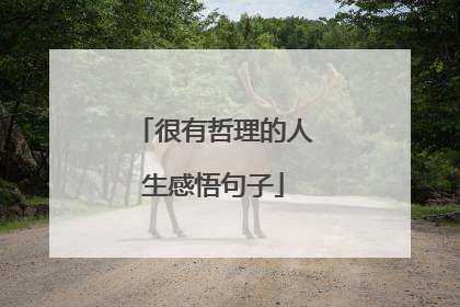 很有哲理的人生感悟句子