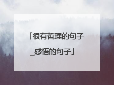 很有哲理的句子_感悟的句子
