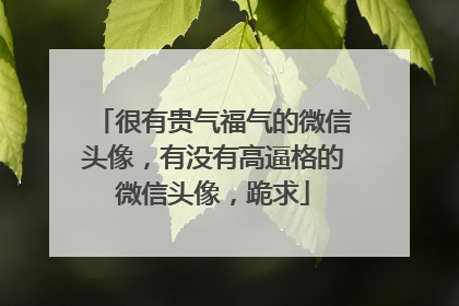 很有贵气福气的微信头像,有没有高逼格的微信头像,跪求