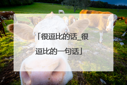 很逗比的话_很逗比的一句话