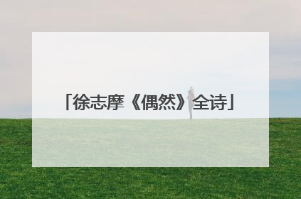 徐志摩《偶然》全诗