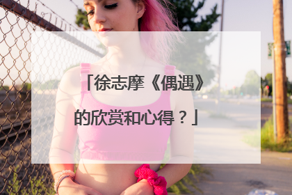 徐志摩《偶遇》的欣赏和心得？