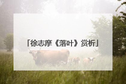 徐志摩《落叶》赏析