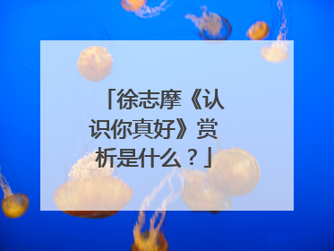 徐志摩《认识你真好》赏析是什么?