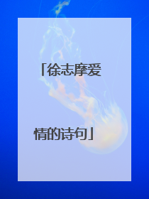 徐志摩爱情的诗句