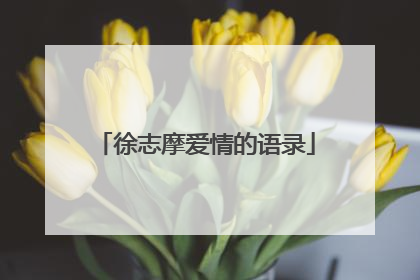 徐志摩爱情的语录