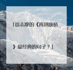 徐志摩的《再别康桥》最经典的句子?