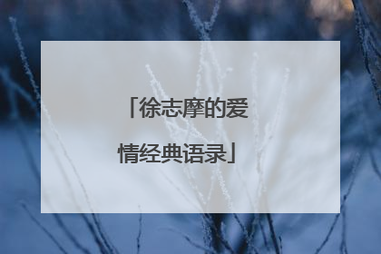 徐志摩的爱情经典语录