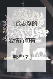 徐志摩的爱情诗句有哪些？