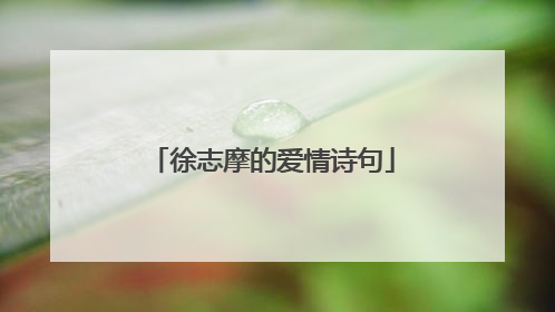 徐志摩的爱情诗句