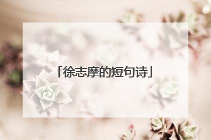 徐志摩的短句诗