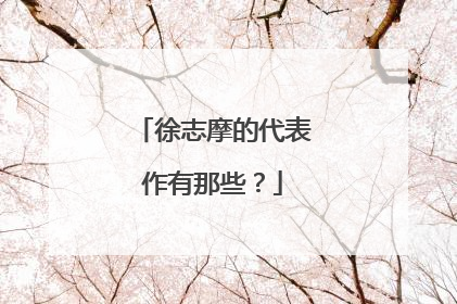 徐志摩的代表作有那些？