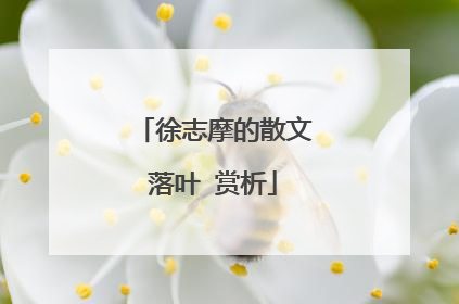 徐志摩的散文落叶 赏析