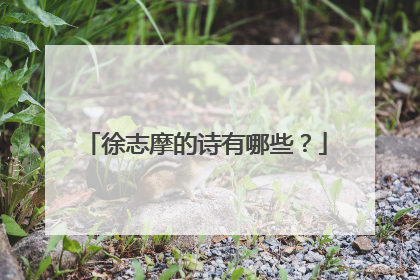 徐志摩的诗有哪些？