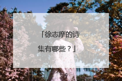 徐志摩的诗集有哪些?