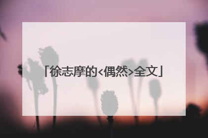徐志摩的<偶然>全文