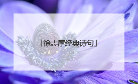 徐志摩经典诗句