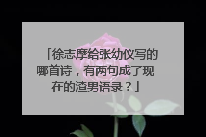 徐志摩给张幼仪写的哪首诗，有两句成了现在的渣男语录？
