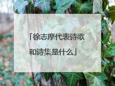 徐志摩代表诗歌和诗集是什么