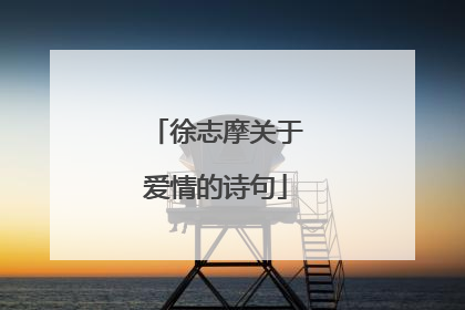 徐志摩关于爱情的诗句