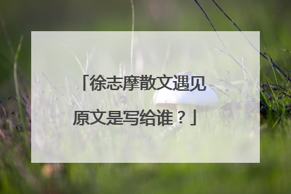 徐志摩散文遇见原文是写给谁？