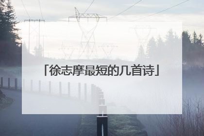 徐志摩最短的几首诗