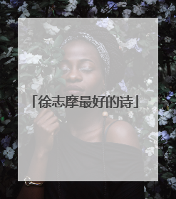 徐志摩最好的诗