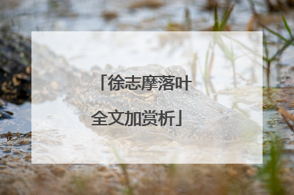 徐志摩落叶全文加赏析