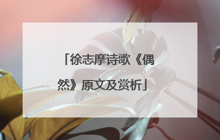 徐志摩诗歌《偶然》原文及赏析