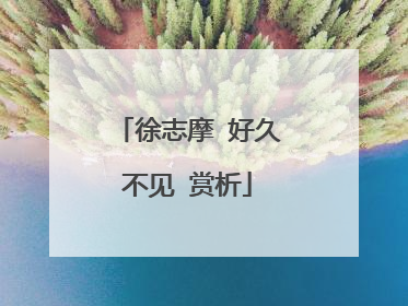 徐志摩 好久不见 赏析