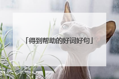 得到帮助的好词好句