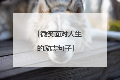 微笑面对人生的励志句子