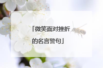 微笑面对挫折的名言警句