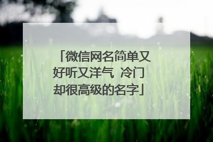 微信网名简单又好听又洋气 冷门却很高级的名字