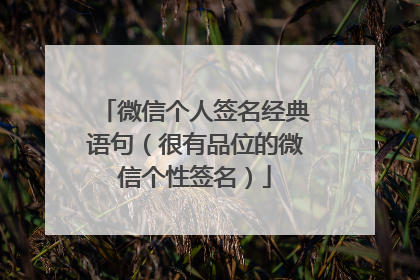 微信个人签名经典语句（很有品位的微信个性签名）