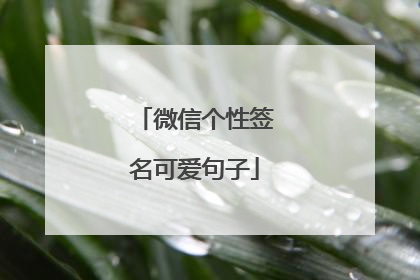 微信个性签名可爱句子