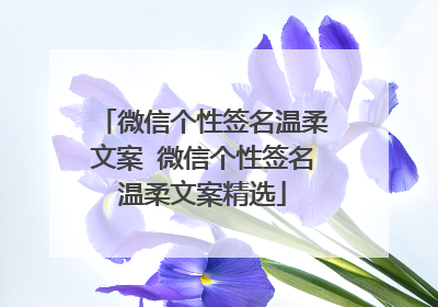 微信个性签名温柔文案 微信个性签名温柔文案精选