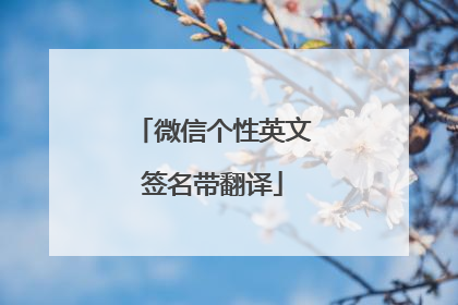微信个性英文签名带翻译