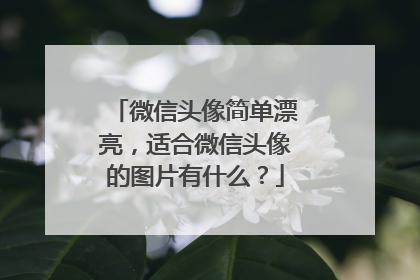 微信头像简单漂亮,适合微信头像的图片有什么?