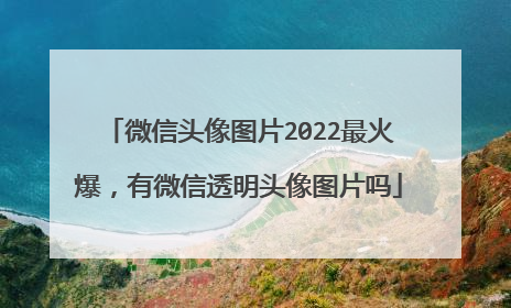 微信头像图片2022最火爆,有微信透明头像图片吗