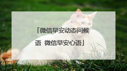 微信早安动态问候语 微信早安心语