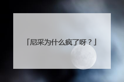 尼采为什么疯了呀?