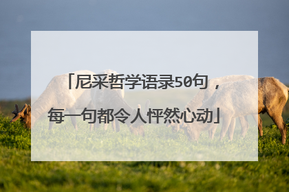 尼采哲学语录50句，每一句都令人怦然心动